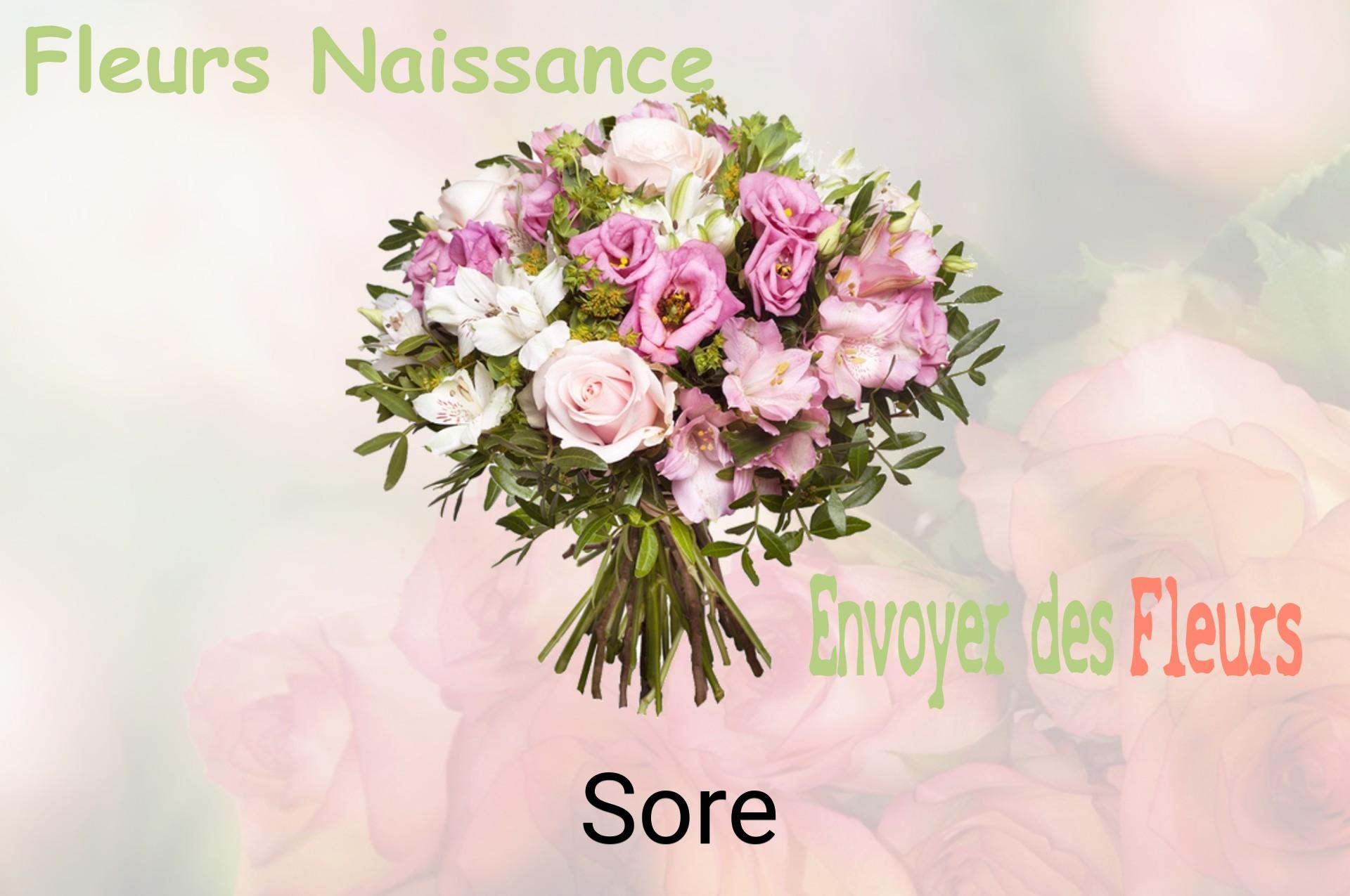 Bouquet de fleurs de naissance livré à Sore